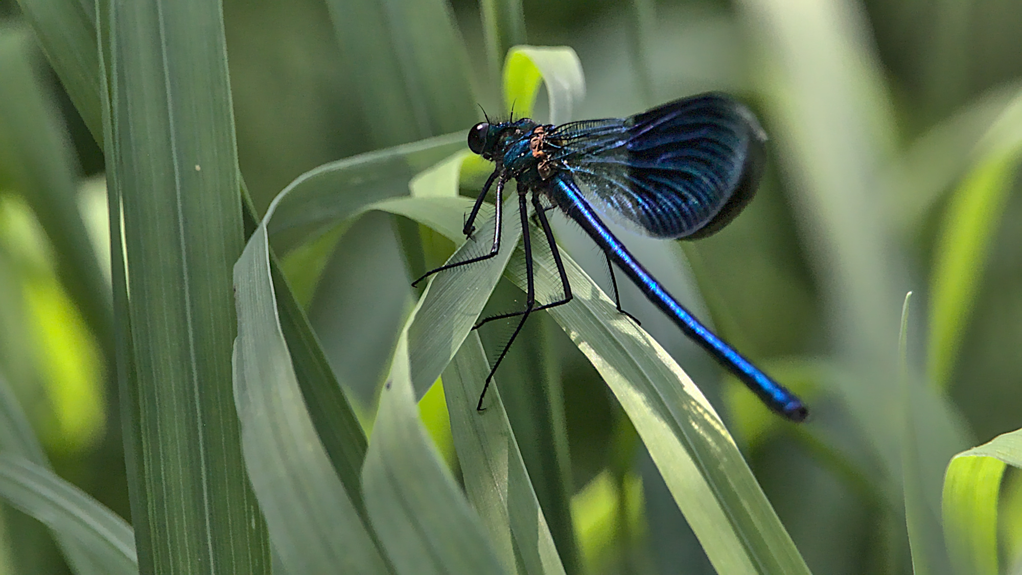 "Ganz schön windig hier..."